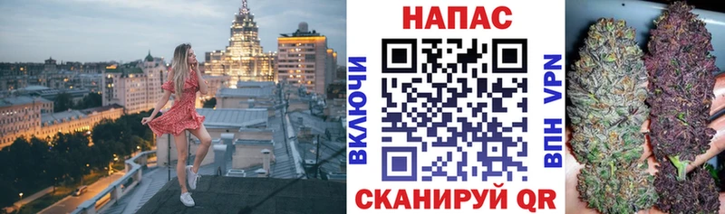 Канабис сатива  Купить закладки  Щёкино 